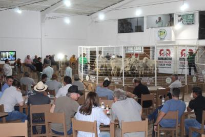 LeilÃ£o de Gado em Laranjeiras do Sul Reflete Qualidade e ConfianÃ§a na PecuÃ¡ria